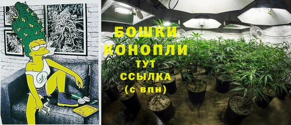 герыч Арсеньев